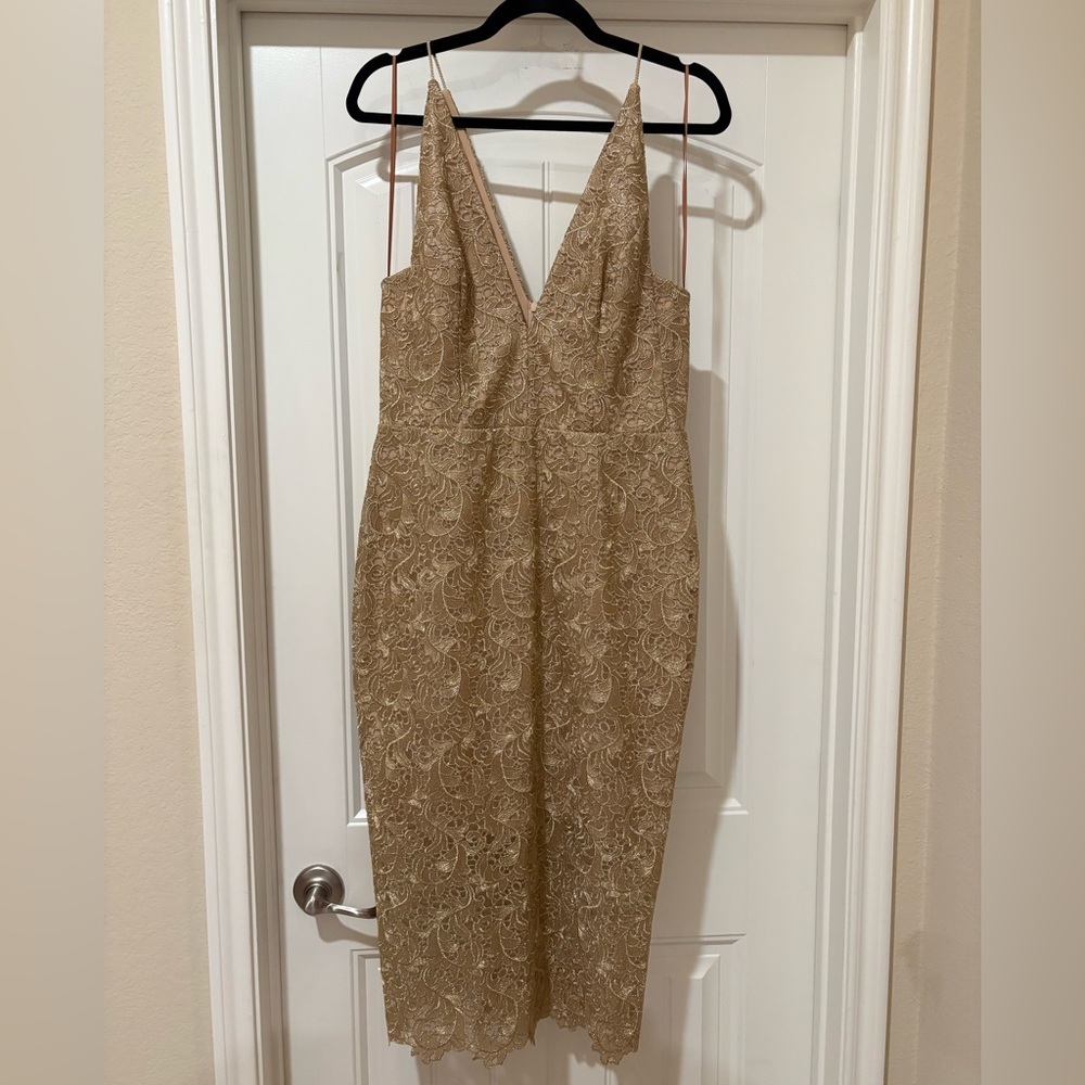 Manning Cartell Treasure Seekers Gold Metallic Lace Illusion Dress NWT Size 10
